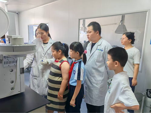 探秘環(huán)境監(jiān)測，共筑綠色家園——山東文登主題活動引領環(huán)保新風尚