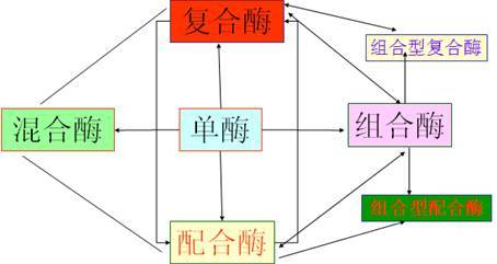 飼用酶制劑的產(chǎn)品現(xiàn)狀與技術(shù)開發(fā)路線升級(jí)——基于馮定遠(yuǎn)教授BFC會(huì)議報(bào)告